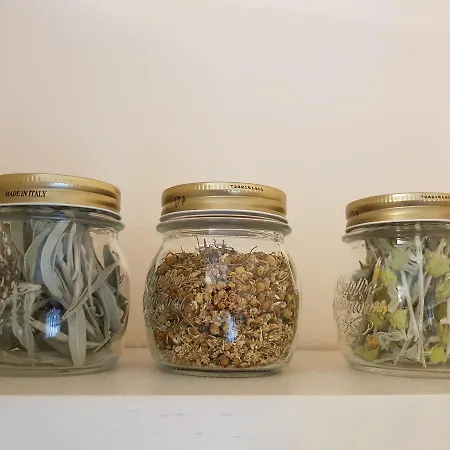 Appartement Hidden Gem Tirana