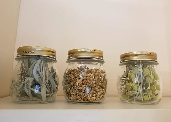 Appartement Hidden Gem Tirana